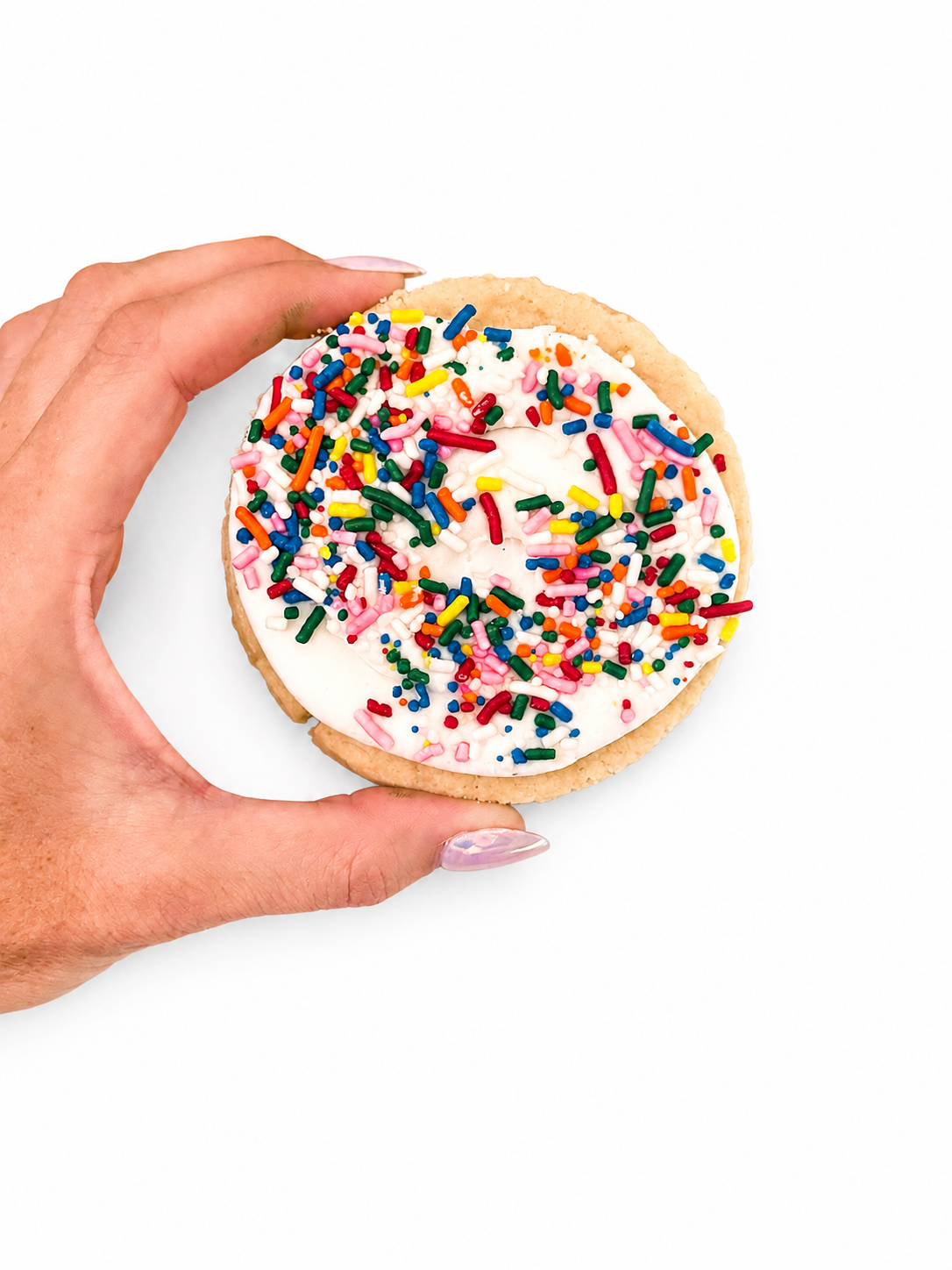 Frosted Sugar Cookie