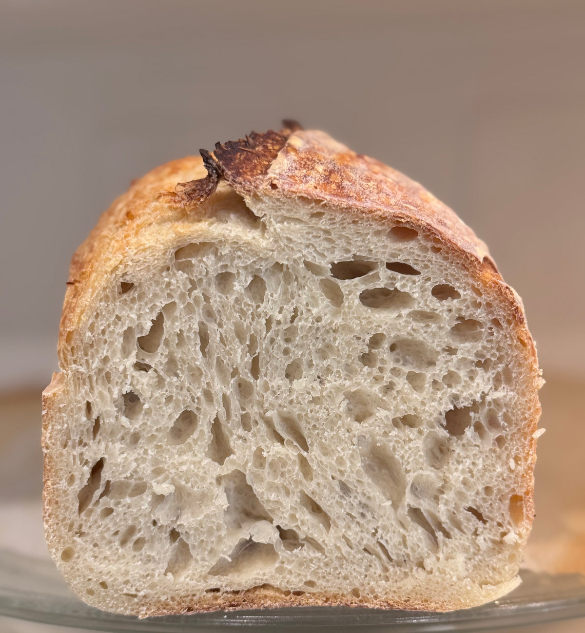 Sourdough